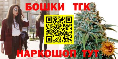 гидра Дубна