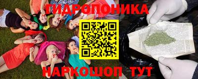 гидра Дубна