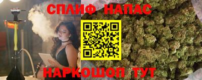 гидра Дубна