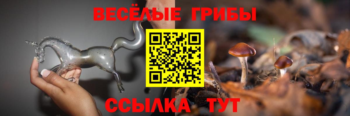 Галлюциногенные грибы мицелий  Псилоцибиновые грибы GOLDEN TEACHER  Людиново  Вход с VPN 