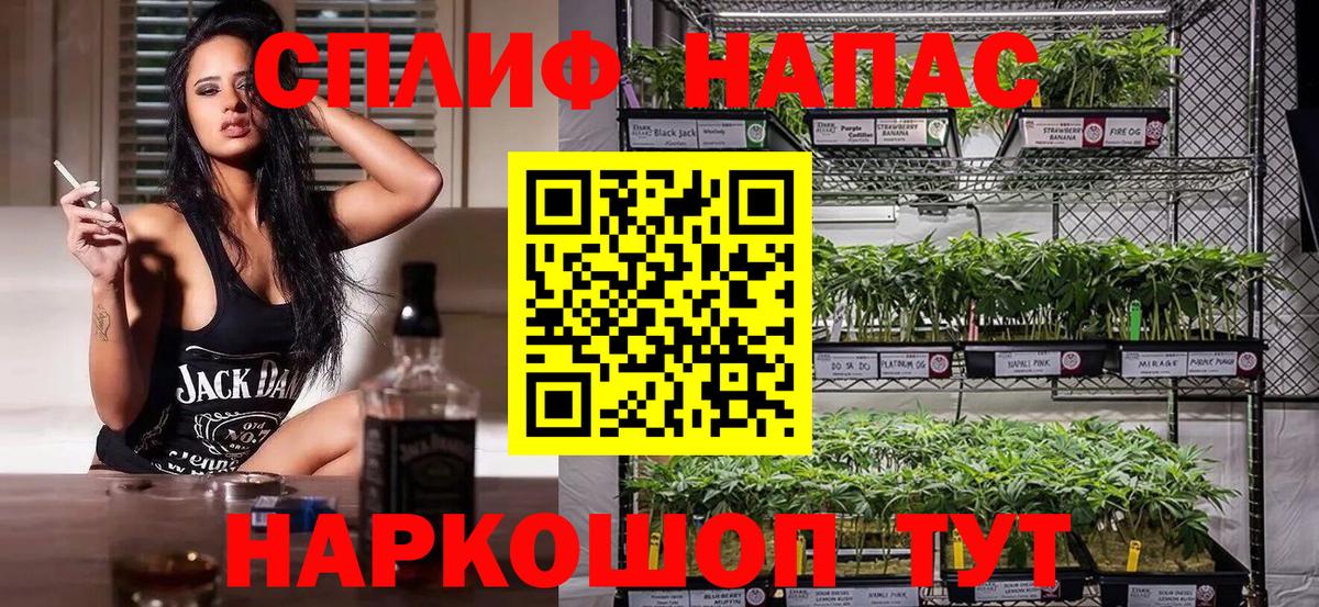 МАРИХУАНА сатива Людиново